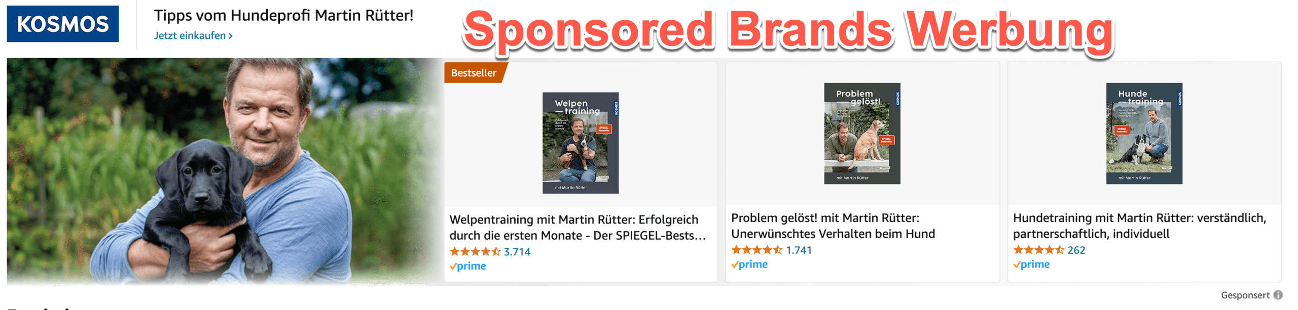 Amazon KDP Sponsored Brand Ads schalten